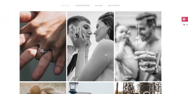 Solene WordPress theme, newest version + free installation - Image 2