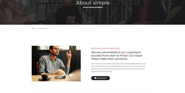 Pofo WordPress theme, newest version + free installation - Image 2