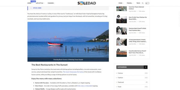 Wordpress Soledad licensed theme + installation as a bonus - Image 3