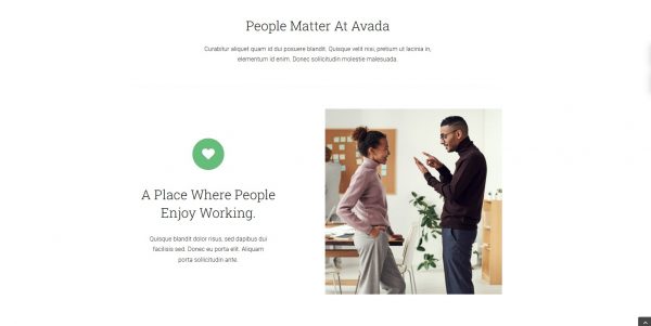 Wordpress Avada licensed theme + installation as a bonus - Image 2