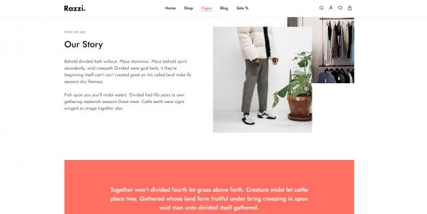 Original Razzi WordPress theme – latest version + free installation bonus - Image 4