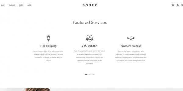 Sober WordPress theme – latest version + free installation bonus - Image 4