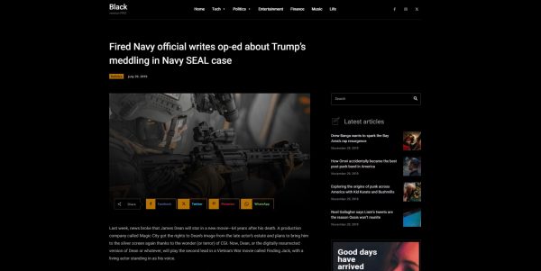 Wordpress Newspaper licensed theme + installation as a bonus - Image 4