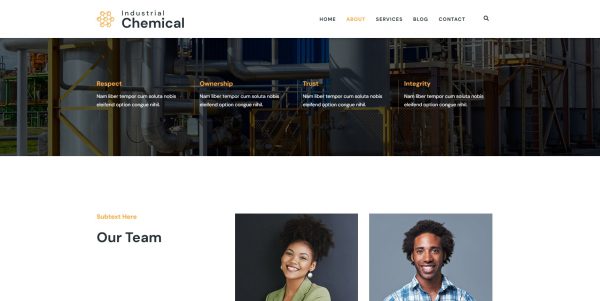 Wordpress JupiterX licensed theme + installation as a bonus - Image 5