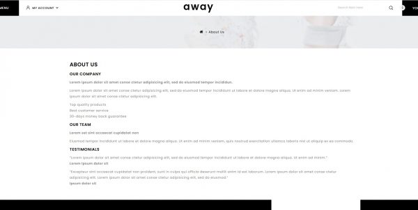 Away OpenCart theme: buy the latest version and get free installation - Image 5