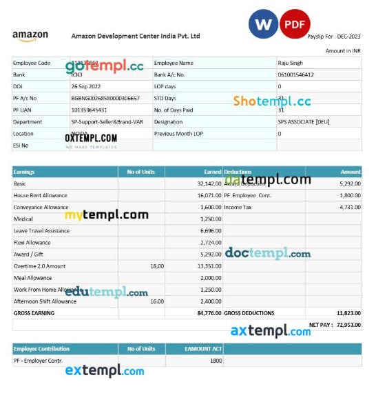 Capgemini Technology Services India payslip template in Word and PDF formats