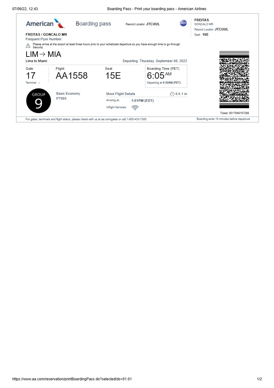 American Airlines boarding pass in Word and PDF formats, version 2