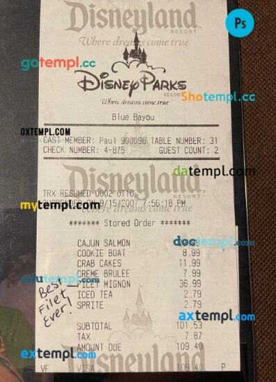 Disneyland park payment check PSD template