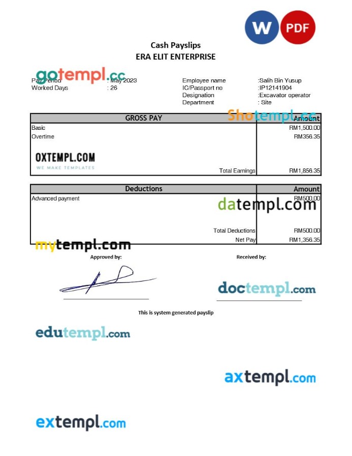 Era Elit Enterprise payslip template in Word and PDF formats