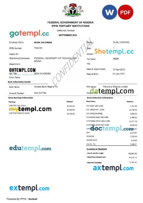 Federal Government of Nigeria employee payslip template in Word and PDF formats