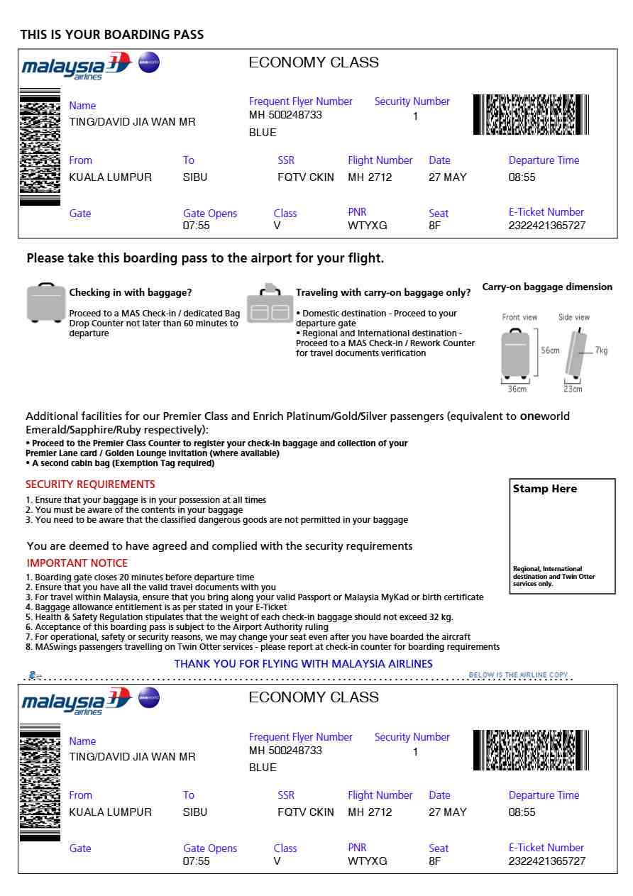 Ryanair boarding pass in Word and PDF formats, version 2