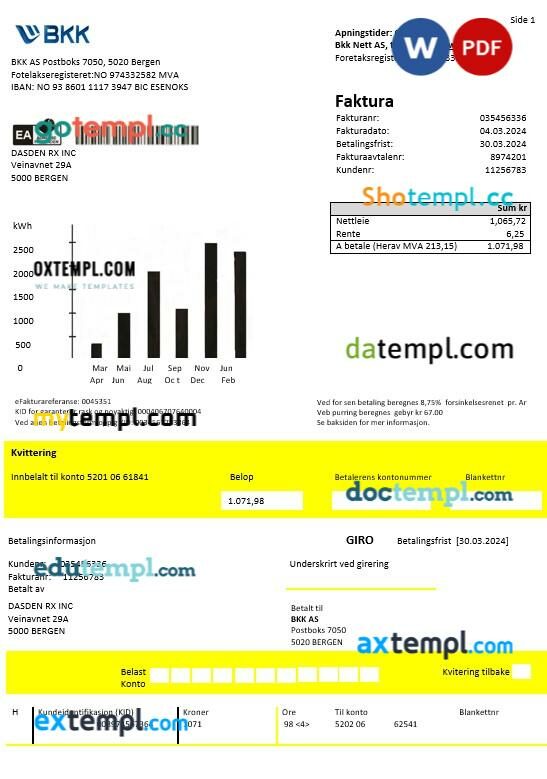 Norway BKK electricity business utility bill template in Word and PDF formats, good for address prove