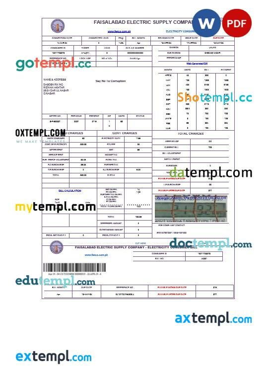 PAKISTAN FAISALABAD business utility bill Word and PDF template