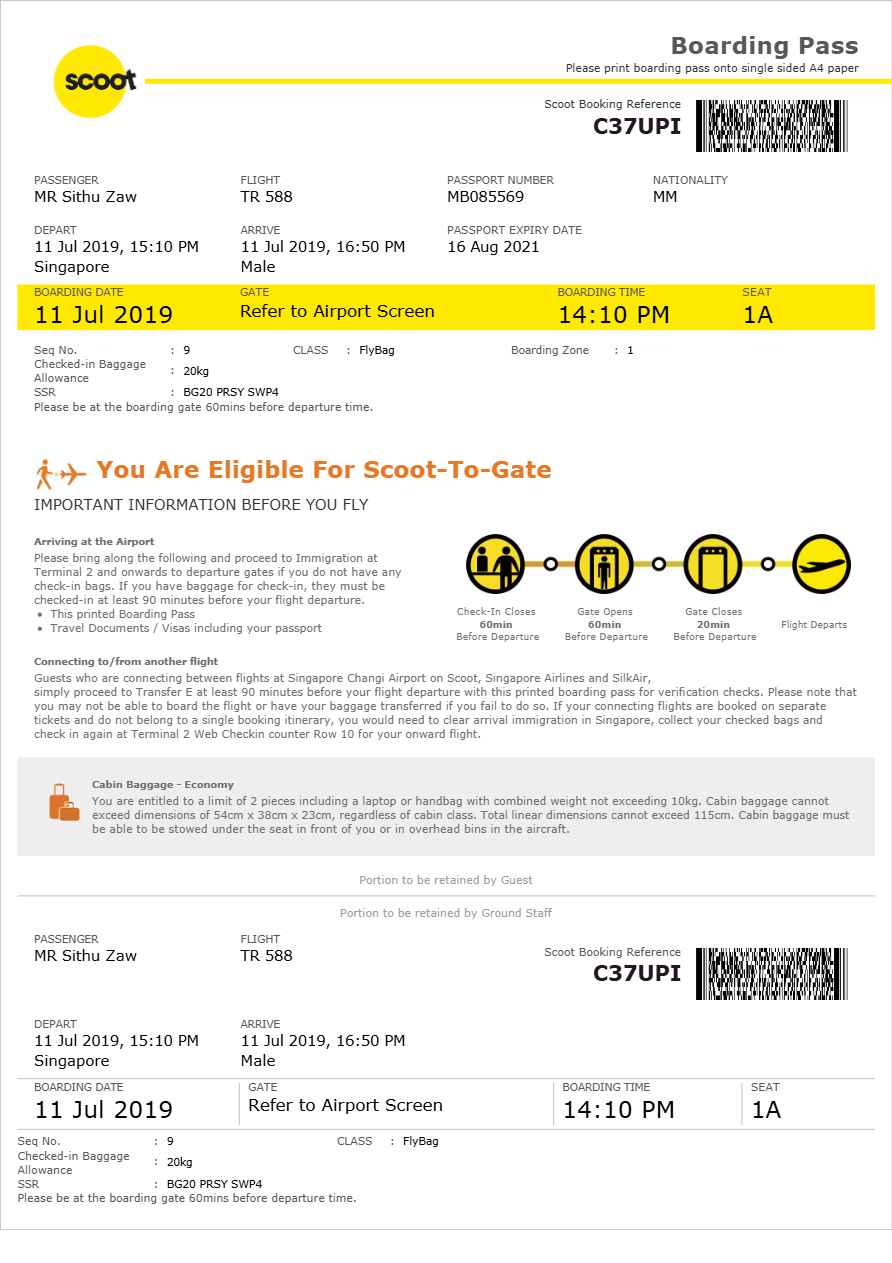 Tunis Air boarding pass in Word and PDF formats