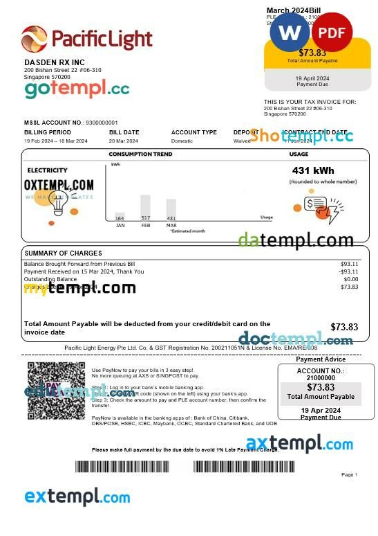 Singapore Pacific Light electricity business utility bill template in Word and PDF formats