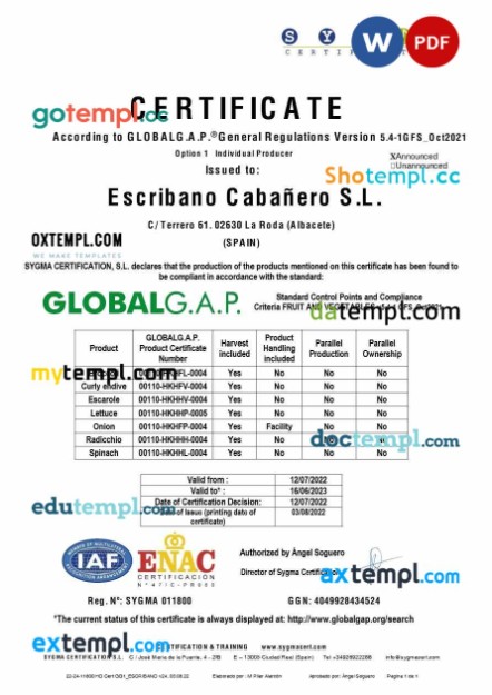 Spain Sigma product certificate in Word and PDF format