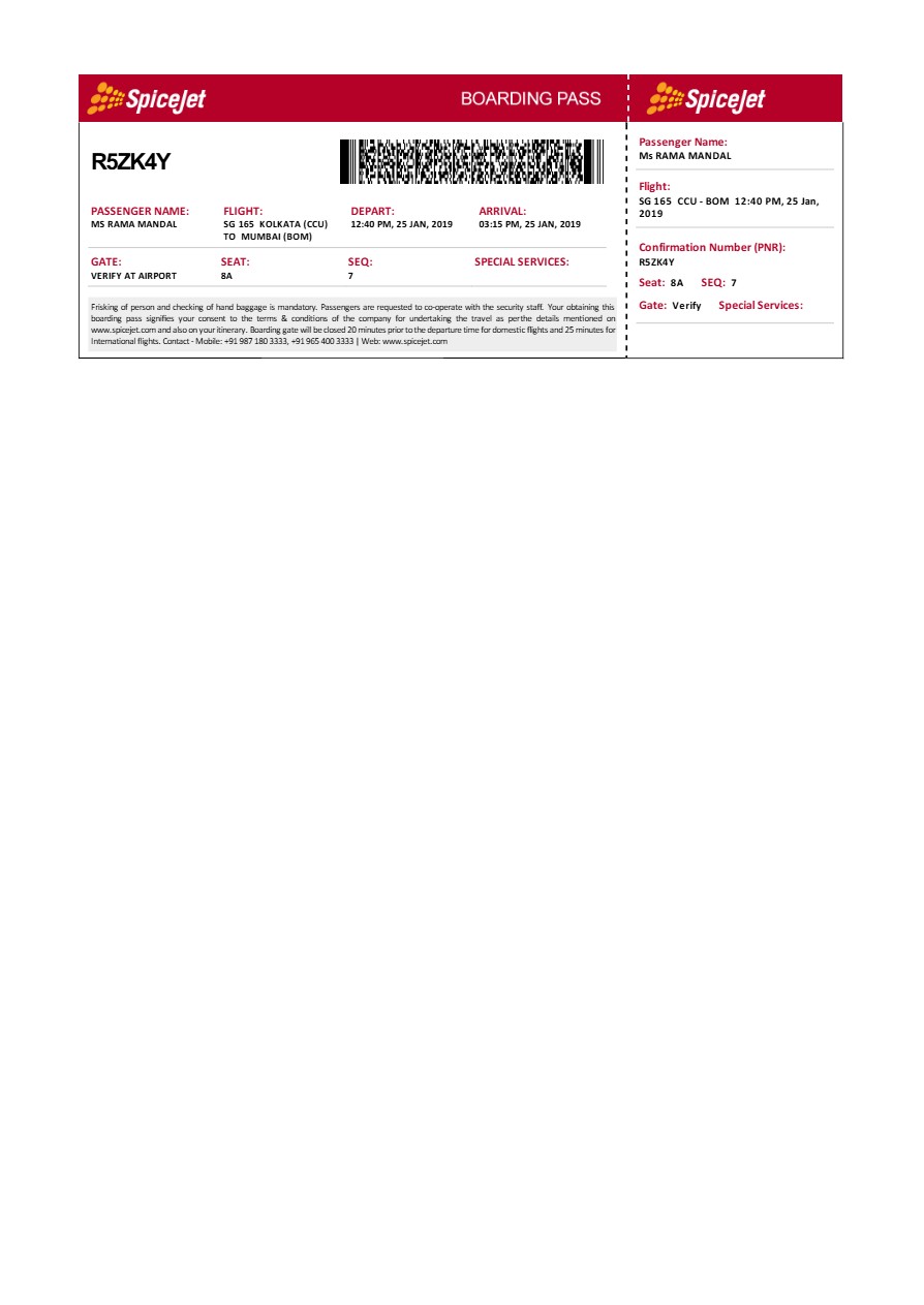 SpiceJet boarding pass in Word and PDF formats