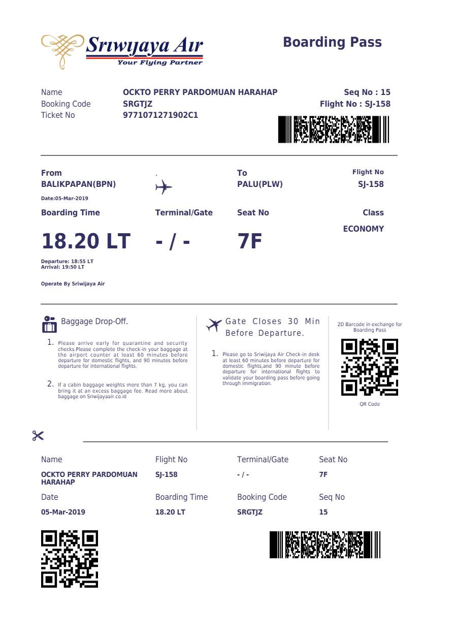 Tunis Air boarding pass in Word and PDF formats