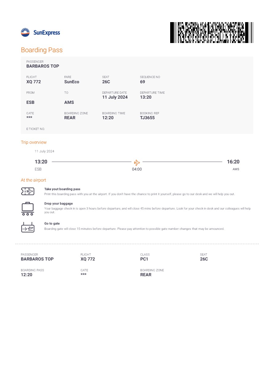 Sun Express boarding pass in Word and PDF formats