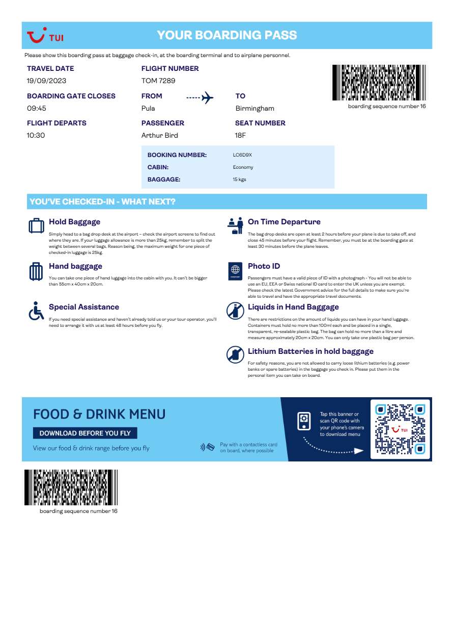 Tunis Air boarding pass in Word and PDF formats