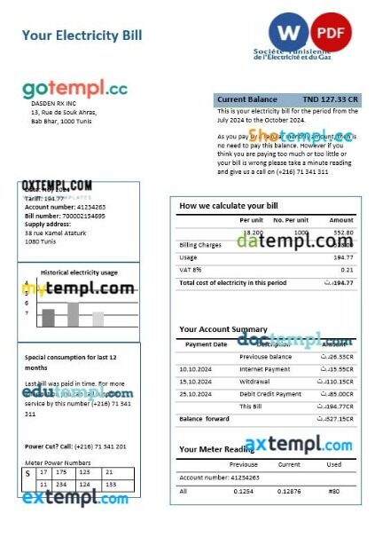 Tunisia electricity proof of address business utility bill template in Word and PDF formats