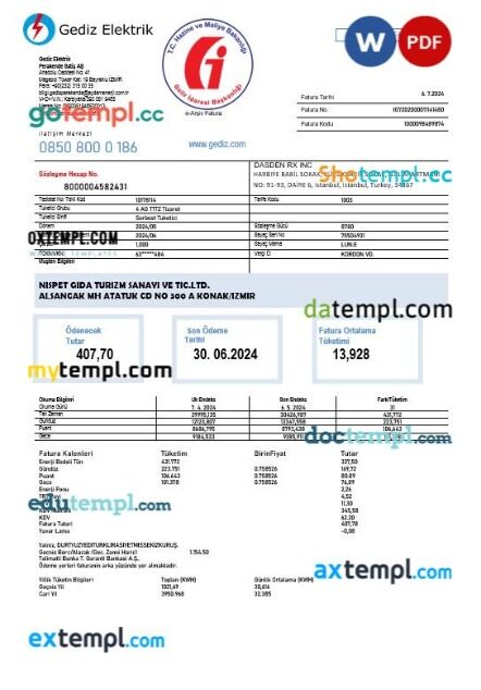 Turkey Gediz Elektrik business utility bill template in Word and PDF formats, fully editable