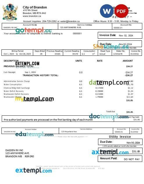 USA BRANDON MISSISSIPPI business utility bill Word and PDF template