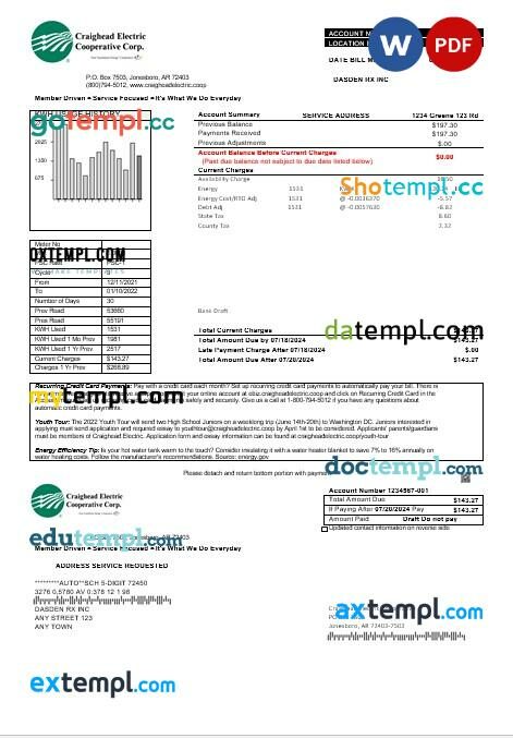 USA Florida Seco Energy business utility bill template in Word and PDF formats