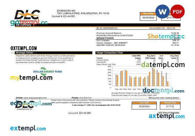 USA Florida Public Utilities business utility bill template in Word and PDF formats