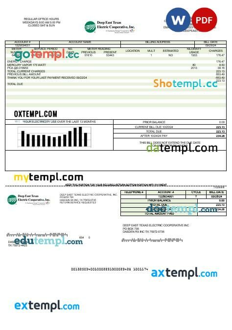 USA Florida Public Utilities business utility bill template in Word and PDF formats