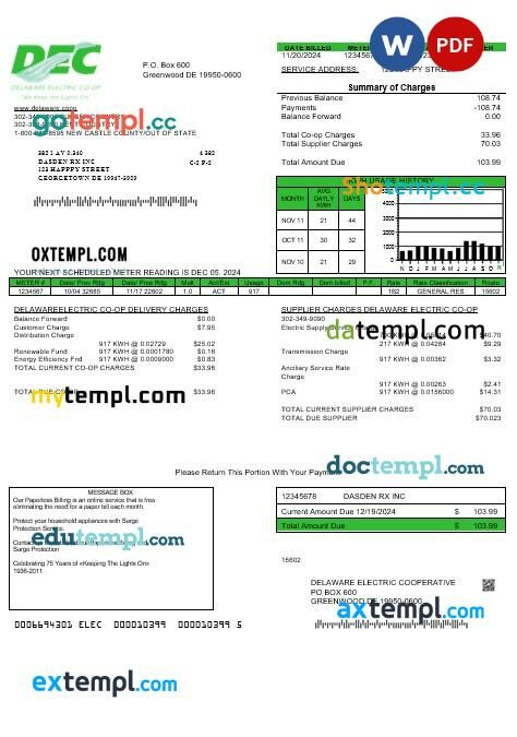 USA Florida Public Utilities business utility bill template in Word and PDF formats