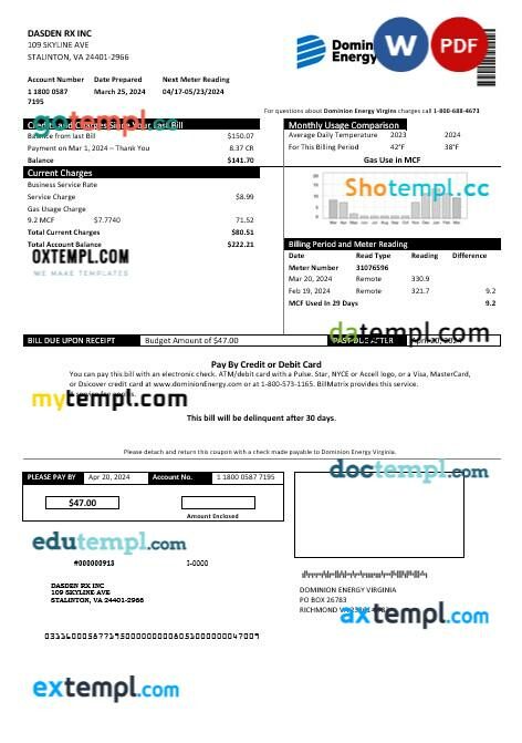 USA Florida Public Utilities business utility bill template in Word and PDF formats