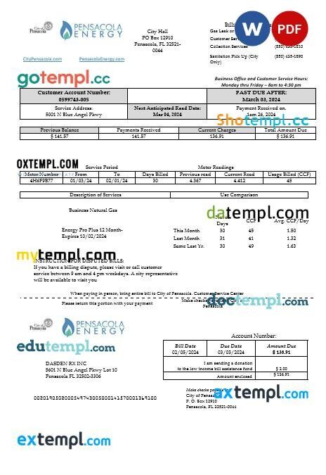 USA Florida Public Utilities business utility bill template in Word and PDF formats