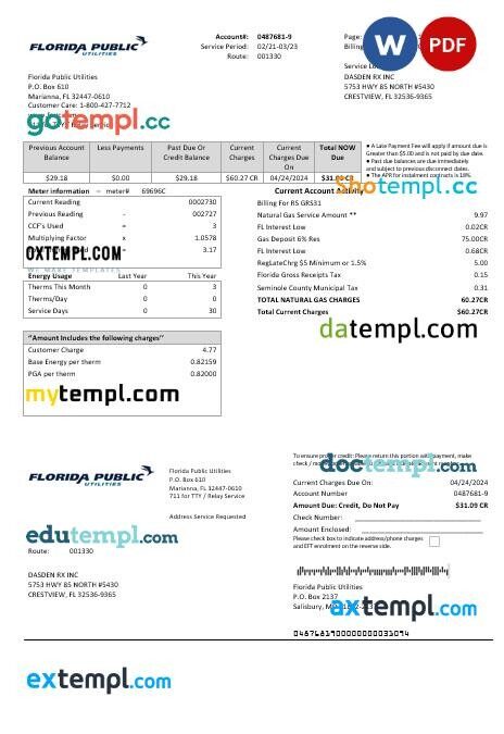 USA Florida Seco Energy business utility bill template in Word and PDF formats