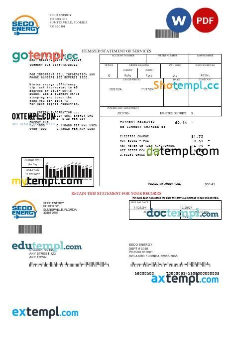 USA Florida Seco Energy business utility bill template in Word and PDF formats