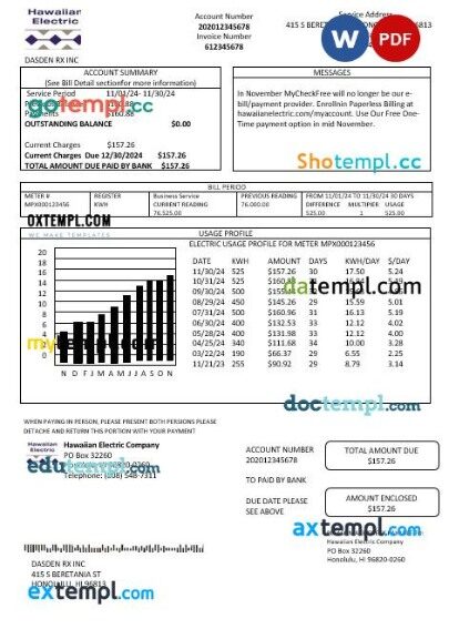 USA Hawaiian Electric business utility bill template in Word and PDF formats