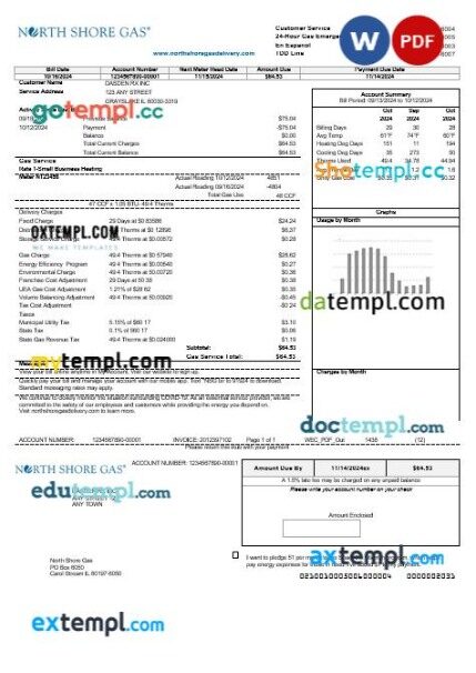 USA Indiana electricity business utility bill template in Word and PDF formats