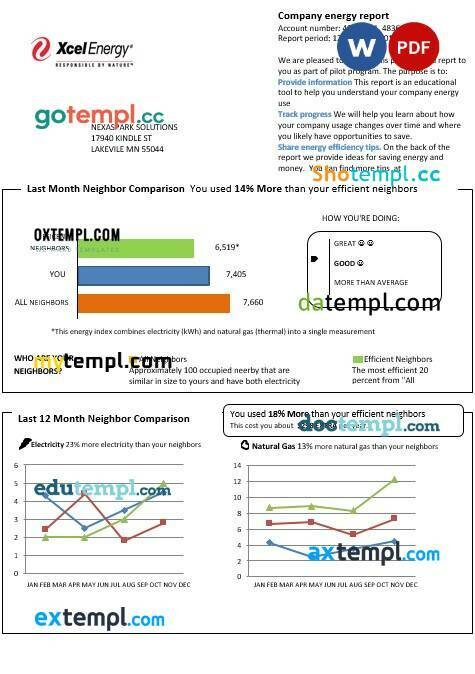 USA Minnesota Xcel Energy business utility bill template in Word and PDF formats