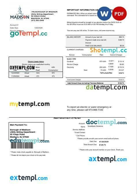 USA South Carolina SCE&G electricity business utility bill template in Word and PDF formats