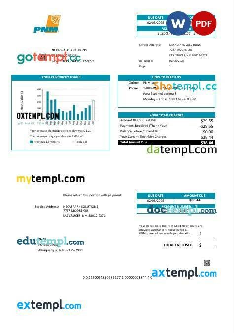 USA South Carolina SCE&G electricity business utility bill template in Word and PDF formats