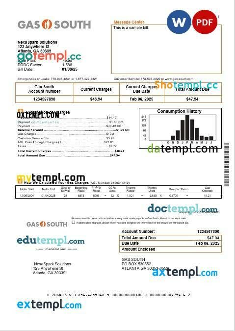 USA South Carolina SCE&G electricity business utility bill template in Word and PDF formats