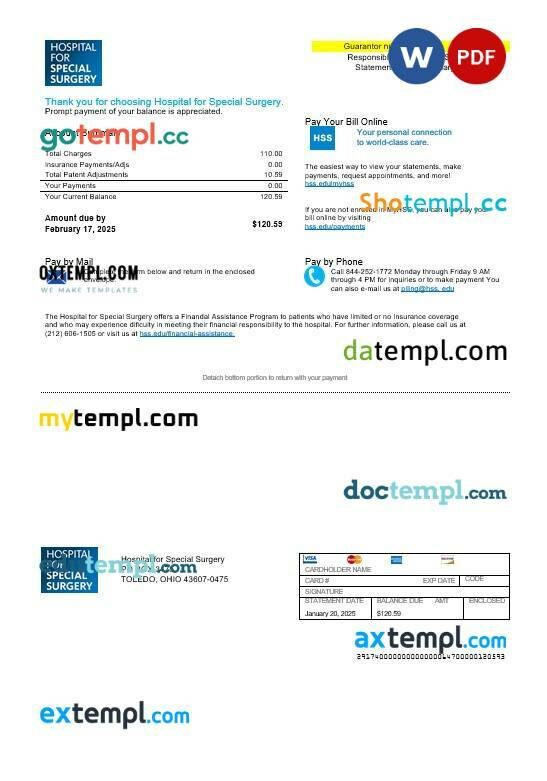 USA Ohio Hospital For Special Surgery business utility bill template in Word and PDF formats