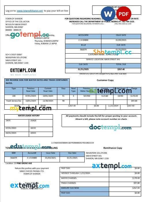 USA South Carolina SCE&G electricity business utility bill template in Word and PDF formats