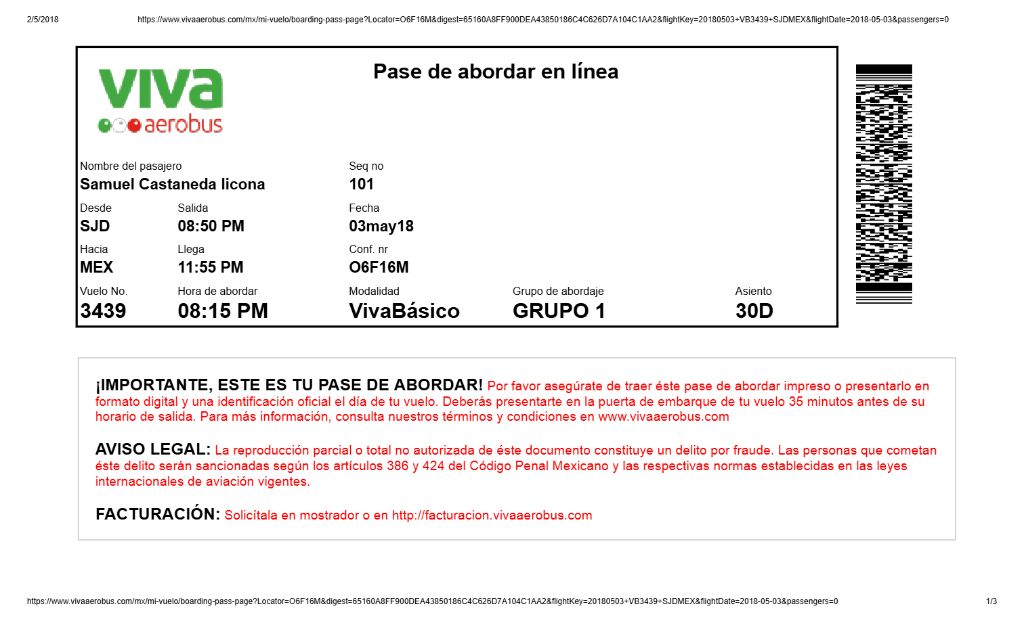 Viva aerobus boarding pass in Word and PDF formats