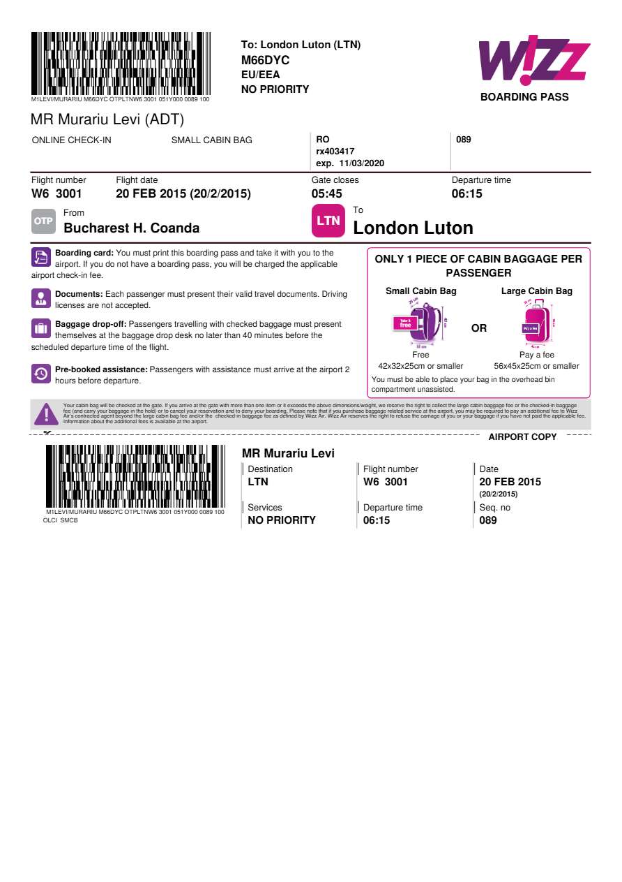 Turkish Airlines boarding pass in Word and PDF formats