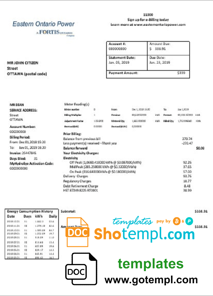 Canadian Eastern Ontario Power utility bill download example in Word and PDF format