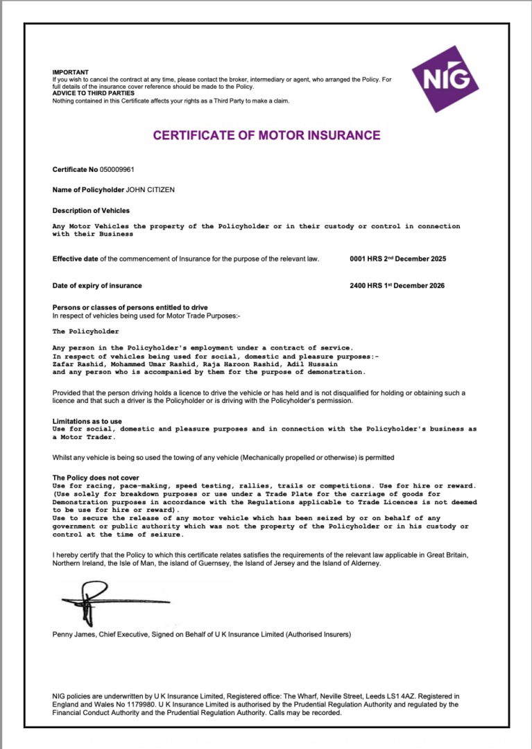 UK NIG Insurance certificate of motor insurance Word and PDF template