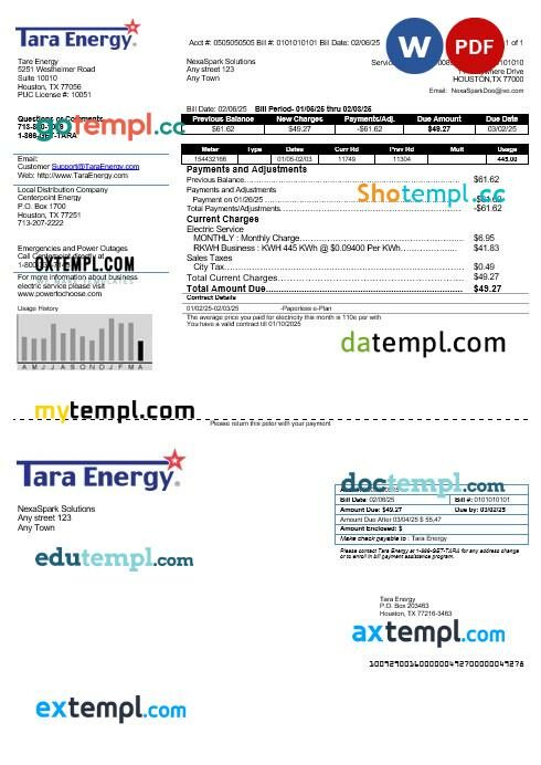 perfect fit pay stub template in Word and PDF format