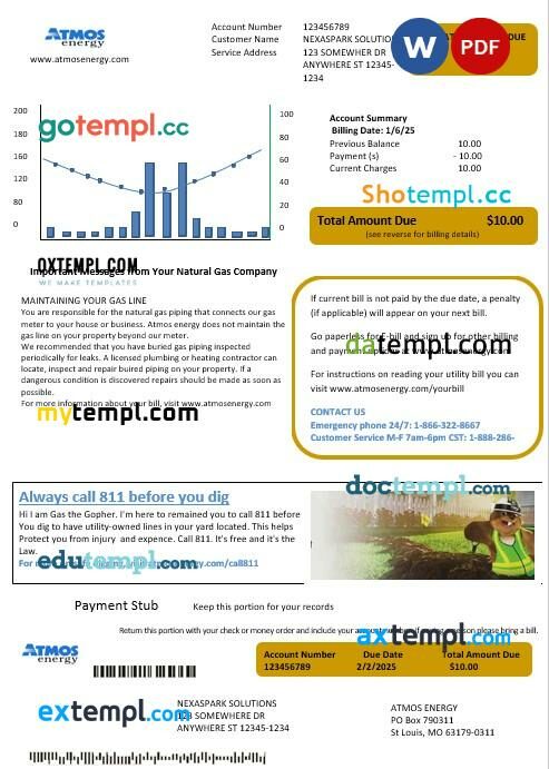 perfect fit pay stub template in Word and PDF format