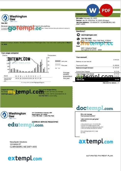 perfect fit pay stub template in Word and PDF format